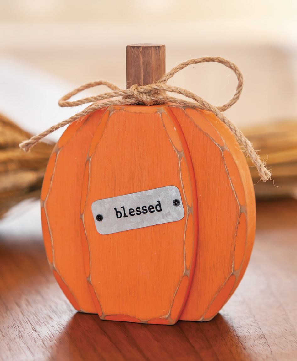 Chunky Fall Pumpkin Sitter